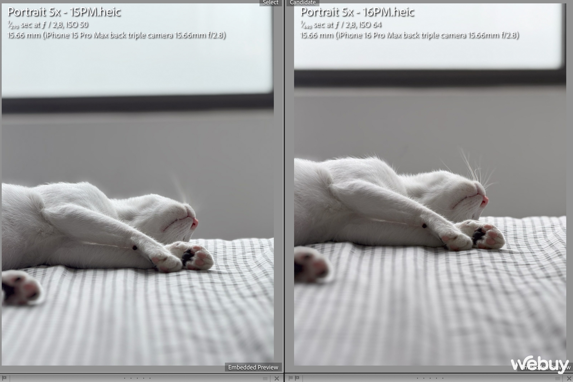 "Camera iPhone 16 Pro Max chẳng kh&aacute;c đời trước", thực tế sử dụng ra sao?- Ảnh 10.