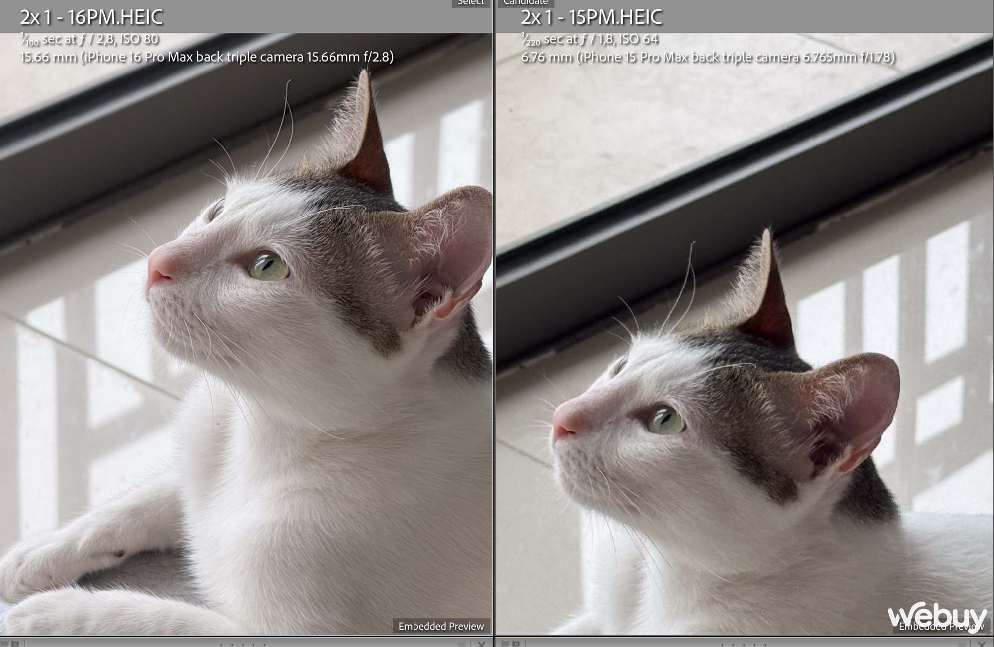 "Camera iPhone 16 Pro Max chẳng kh&aacute;c đời trước", thực tế sử dụng ra sao?- Ảnh 12.