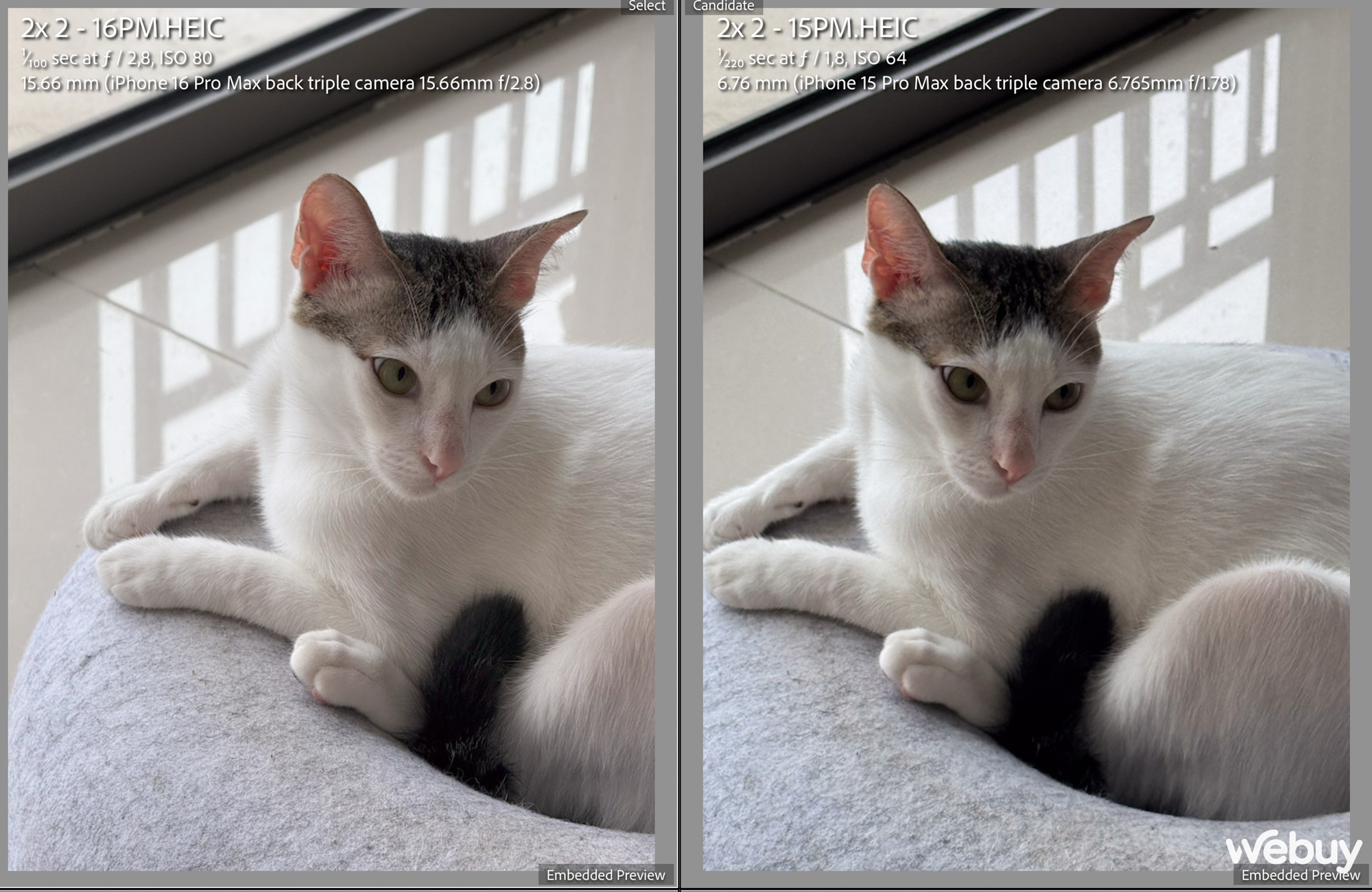 "Camera iPhone 16 Pro Max chẳng kh&aacute;c đời trước", thực tế sử dụng ra sao?- Ảnh 13.