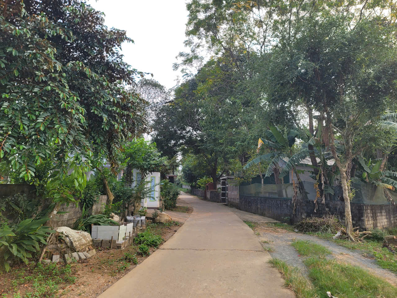 Khởi tố, bắt giam 