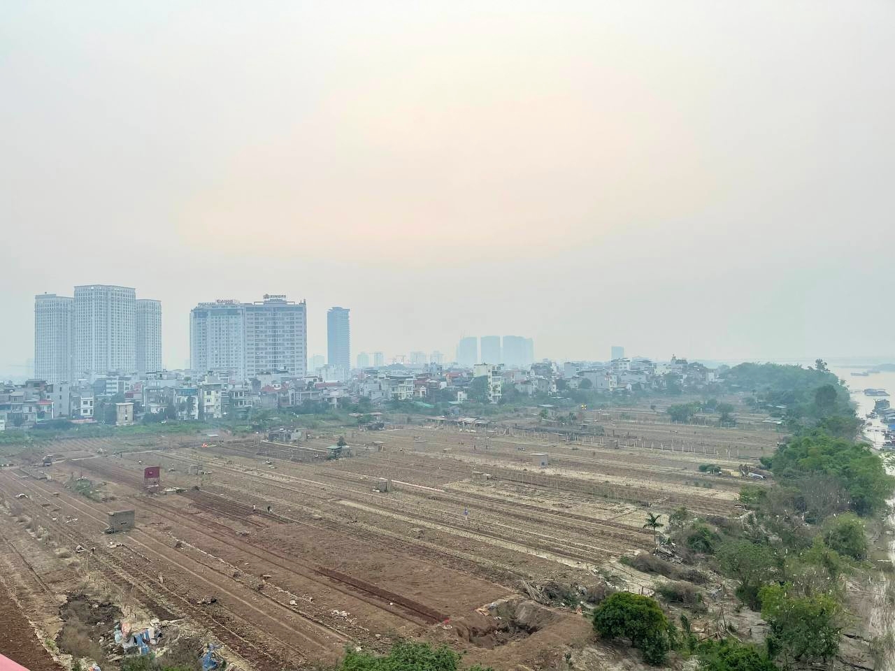 Trắng tay sau lũ vì những cành đào chết khô, người dân Nhật Tân giờ phải... trồng rau, hoa cúc để bán Tết- Ảnh 2.