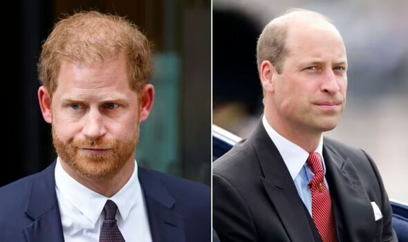 Harry muốn dùng “cầu nối” chiến lược để hàn gắn tình anh em với Thân vương William nhưng Meghan không đồng tình- Ảnh 1.