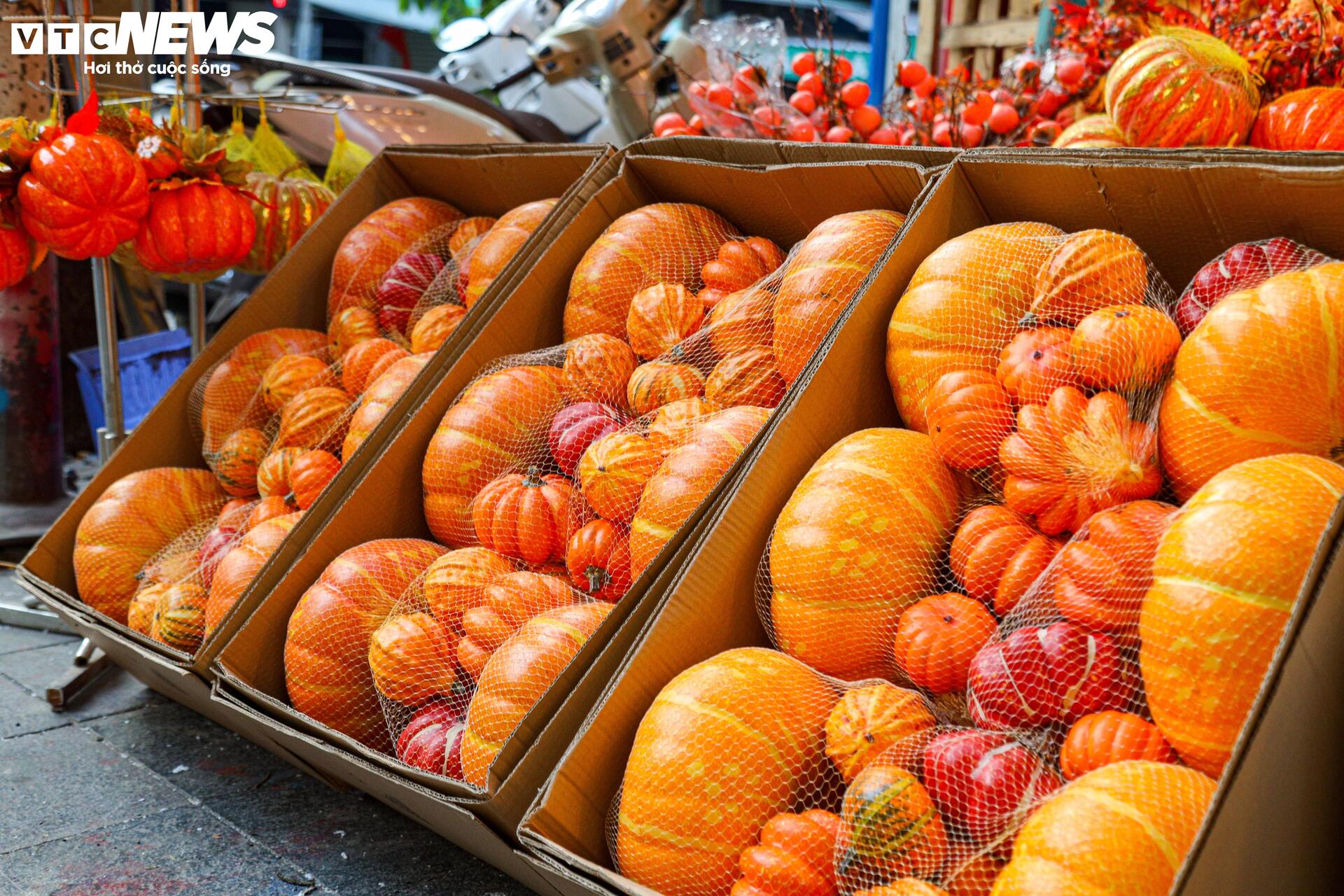 Đồ chơi Halloween ngập tràn, phố cổ Hà Nội trở nên ma mị- Ảnh 10.