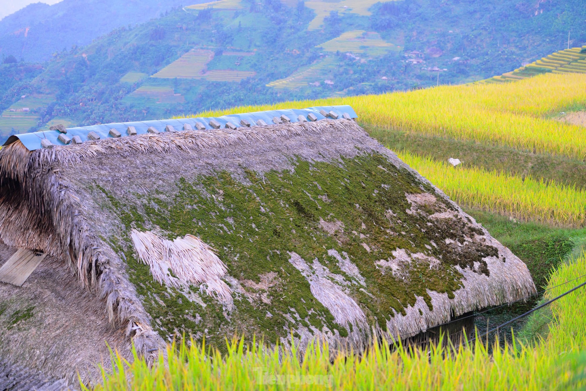 Hiếm có, khó tìm những mái nhà biết 'biến hình' ở Hà Giang- Ảnh 12.