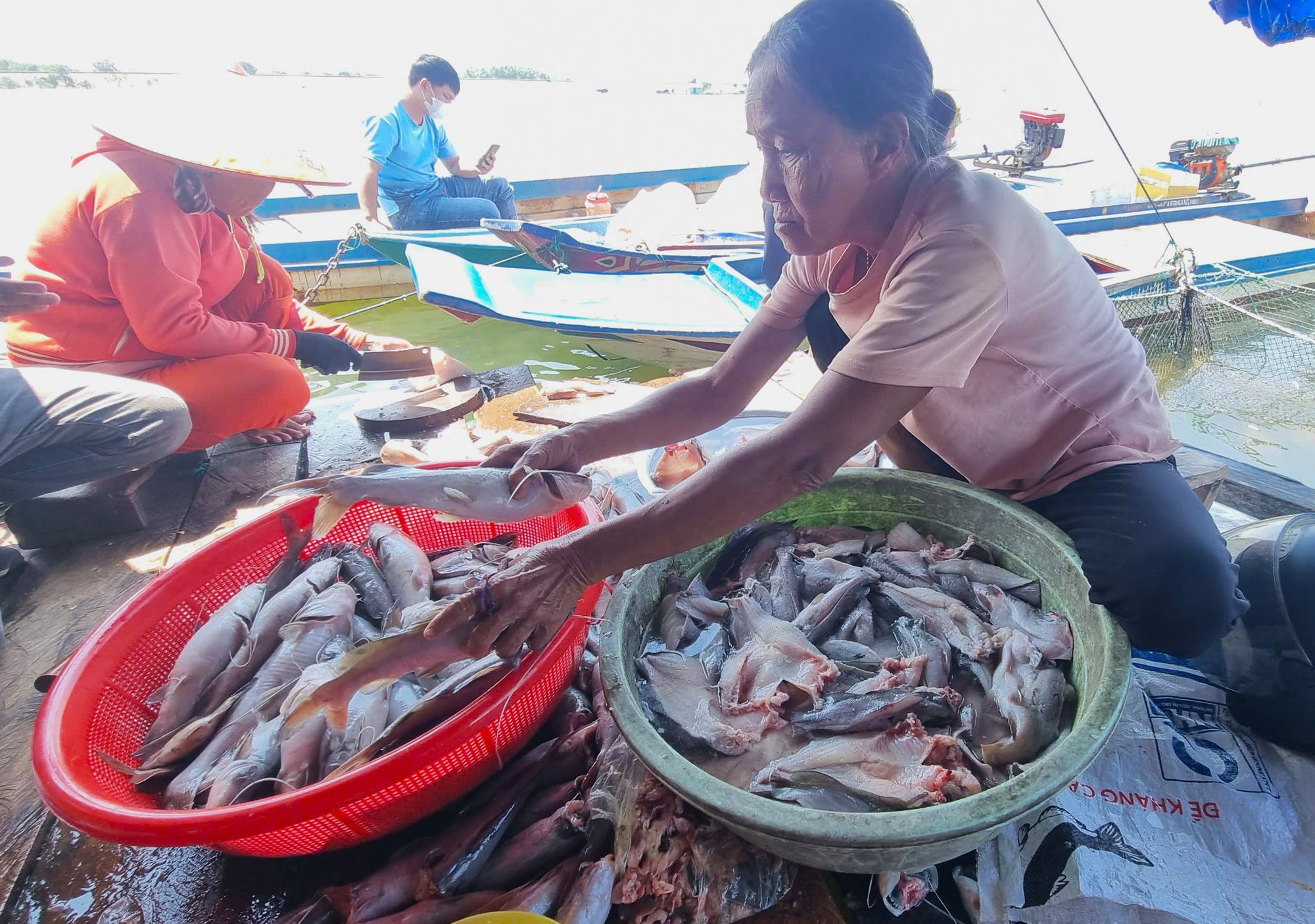 Bất thường cá nuôi trong hồ thủy lợi chết hàng loạt ở Gia Lai- Ảnh 2.