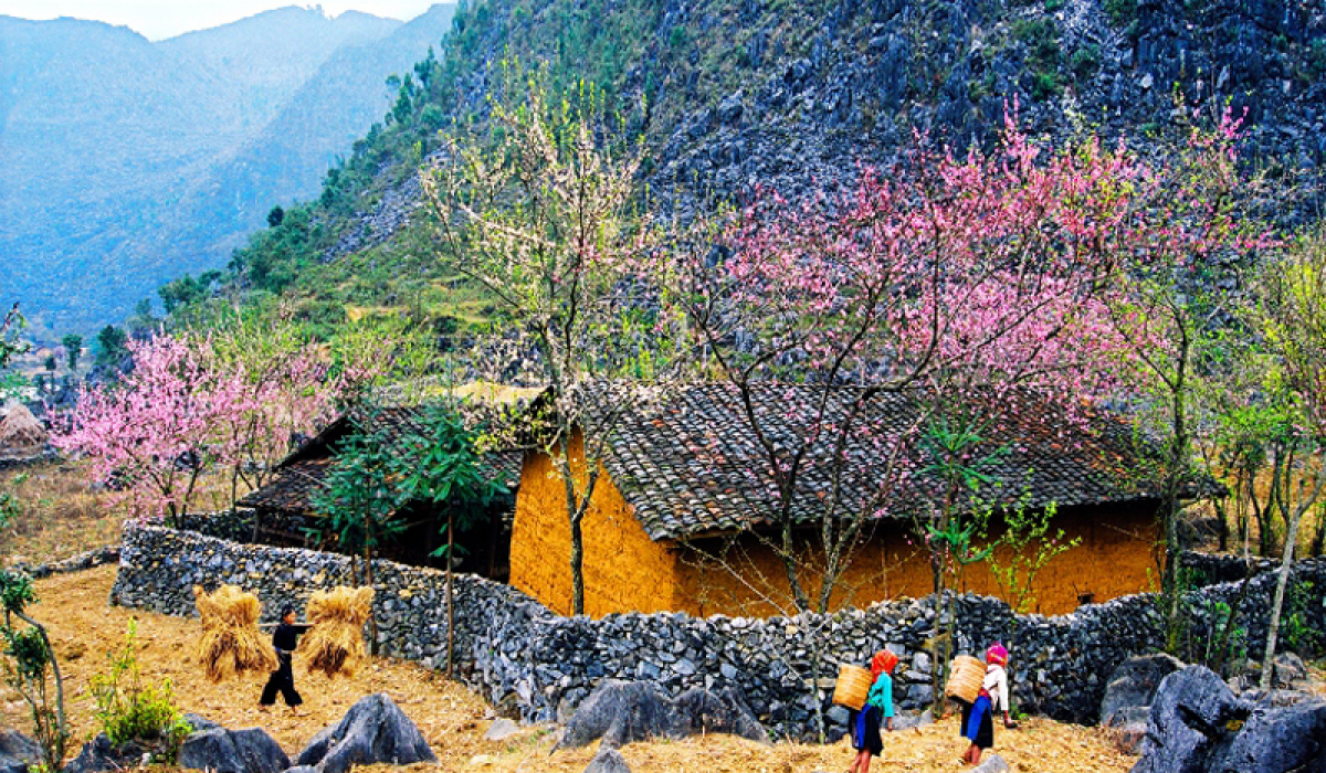 Khách Tây thích thú dùng bữa trưa cùng đồng bào dân tộc ở Hà Giang, cảm thán 