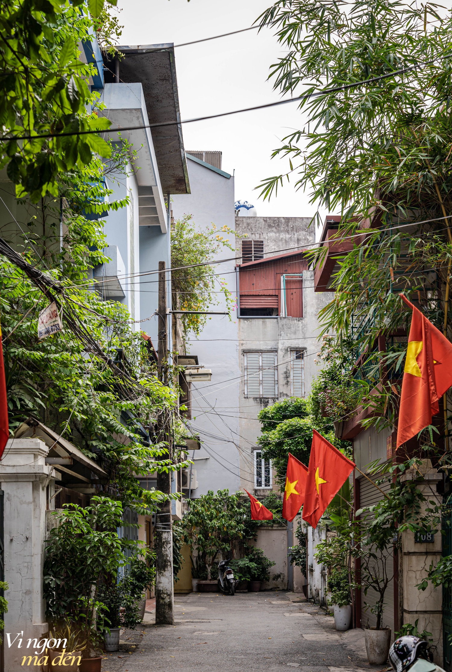 Độc đáo trải nghiệm ăn bún riêu trong không gian "quý tộc" toàn đồ cổ ở Hà Nội: Bà chủ nổi tiếng phố cổ mấy chục năm, nay bán vì... đam mê- Ảnh 16.