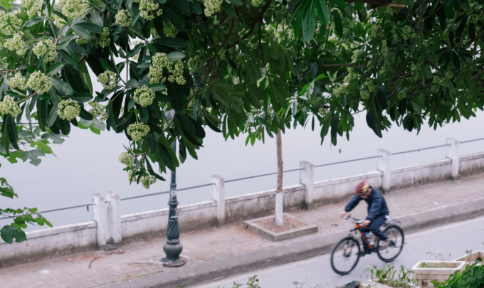 Chưa đủ ám ảnh mùi hoa sữa, nhiều nơi thẳng tay cho vào đồ ăn, nước uống khiến dân tình nhìn thôi đã muốn "nín thở online"- Ảnh 1.