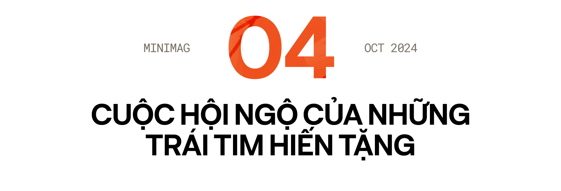 Cuộc hội ngộ của những trái tim hiến tặng: 