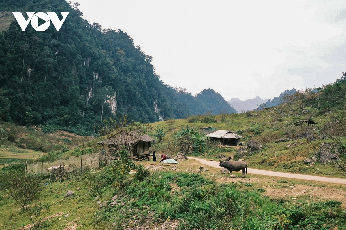 Những ngày thanh bình của cặp đôi Sài Gòn giữa núi rừng Tà Số- Ảnh 2.