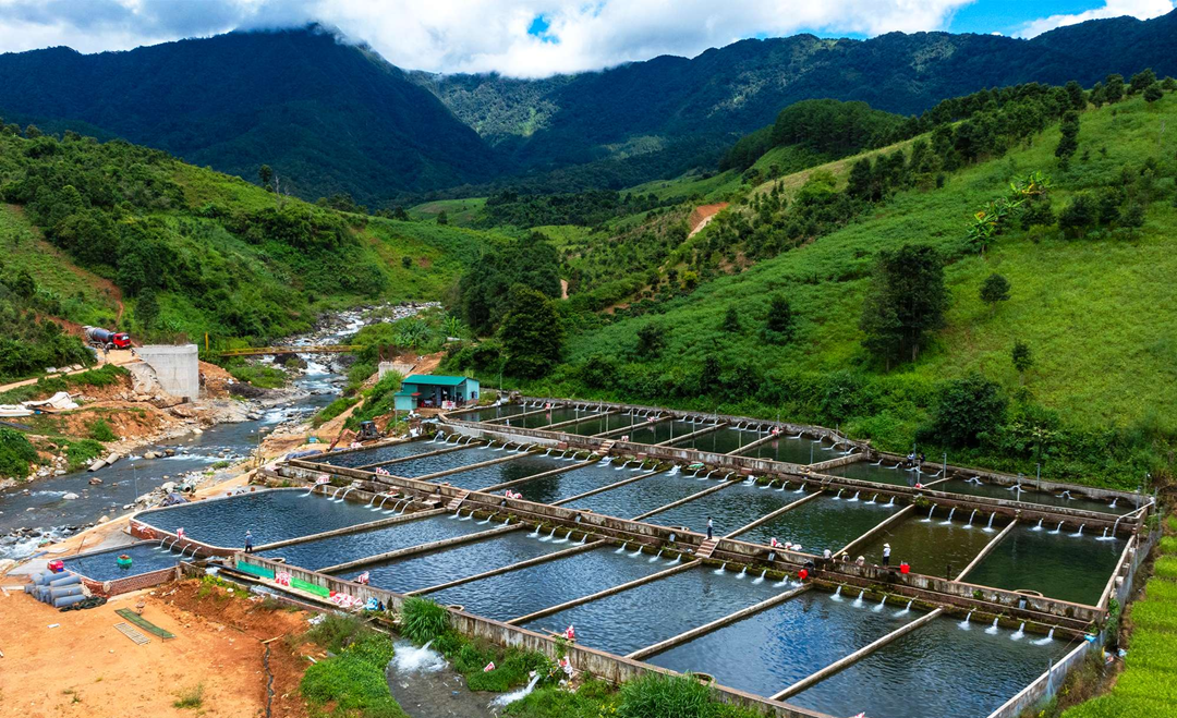 Anh nông dân "phát tài" nhờ nuôi cá ngoại quốc theo cách lạ cứ thế kiếm 22 tỷ đồng- Ảnh 3.