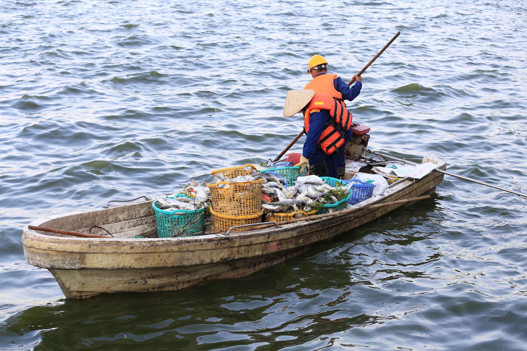 Người dân Thủ Đô nói "không thở được" vì cá chết bốc mùi hôi nồng nặc ở Hồ Tây- Ảnh 13.