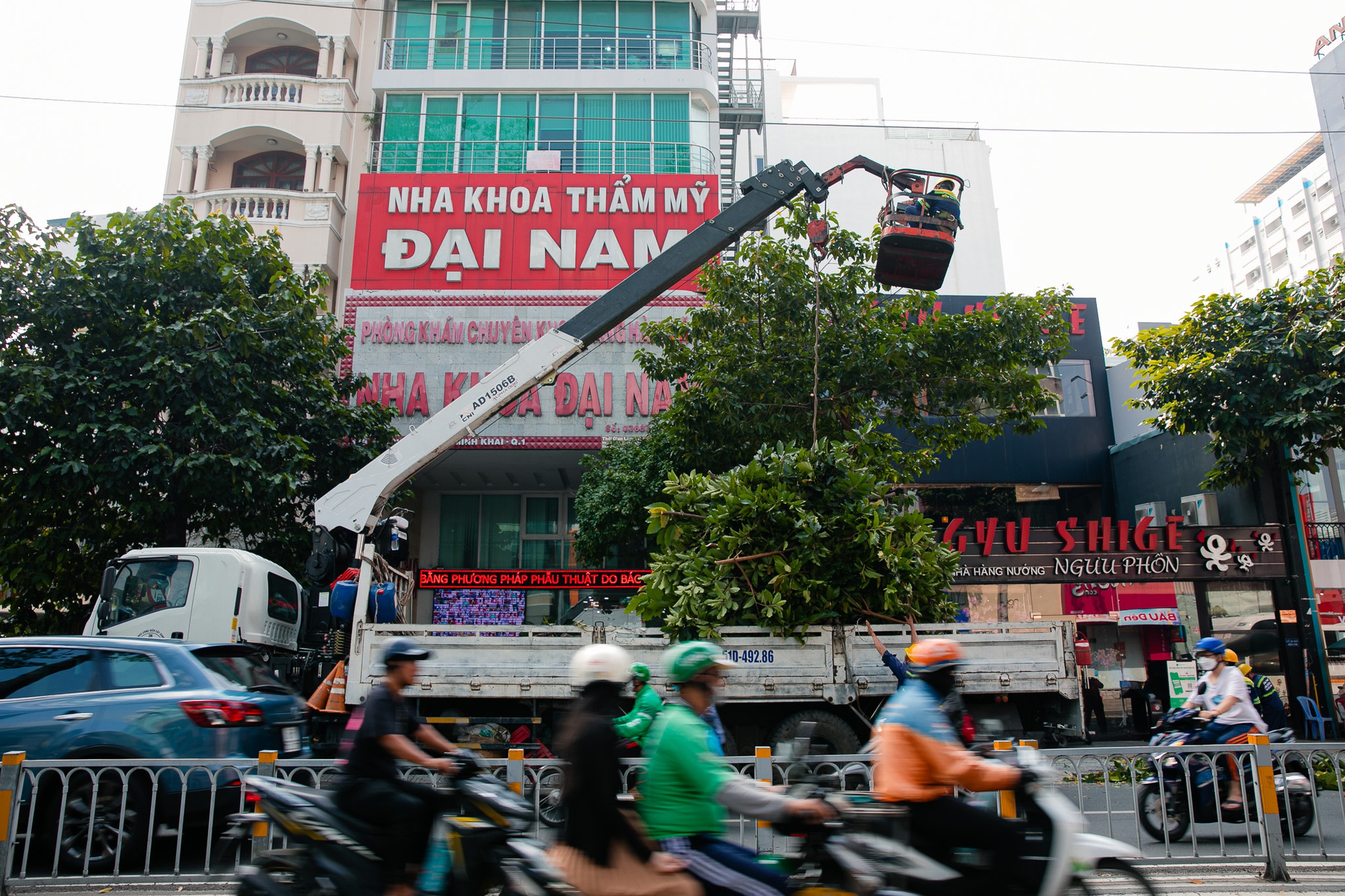 Hình ảnh "lạ" của loạt cây xanh lâu năm ở TP.HCM khiến nhiều người tiếc nuối- Ảnh 7.