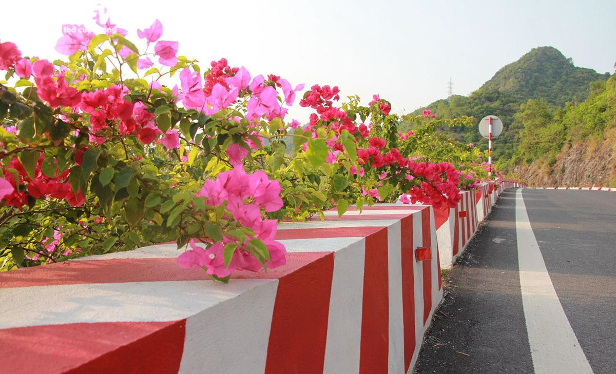 "Con đường nghìn tỷ" dài chỉ 20km nhưng xuyên qua cả núi, rừng và biển: Dẫn thẳng tới điểm đến hút khách hàng đầu miền Bắc- Ảnh 4.