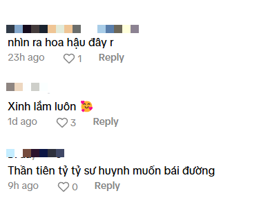 Với 16 giây, cô gái khiến Đặng Thu Thảo không còn là "thần tiên tỷ tỷ" duy nhất ở Việt Nam- Ảnh 4.