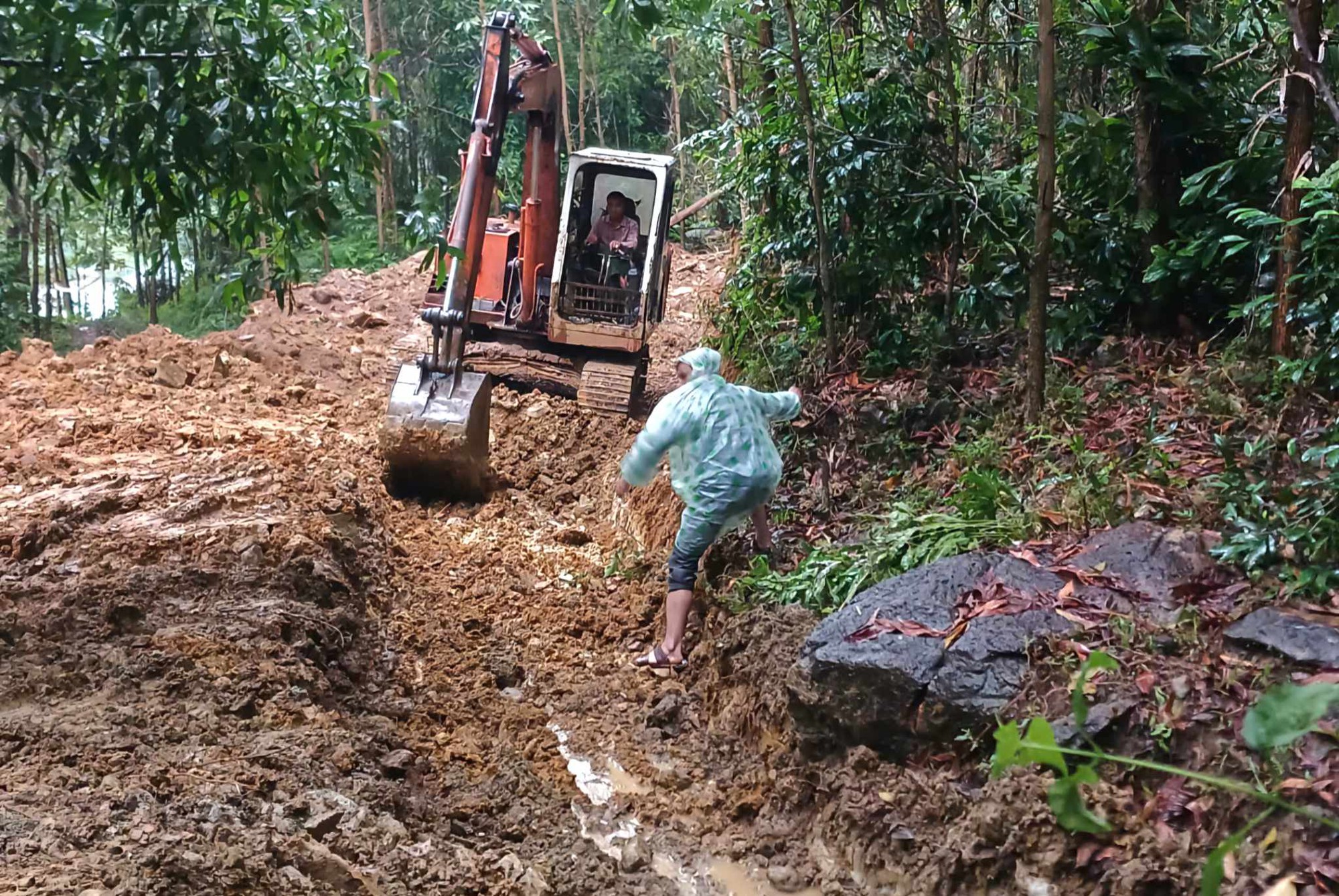 Phát hiện vệt nứt trên đỉnh đồi, Quảng Nam sơ tán cả khu dân cư- Ảnh 4.