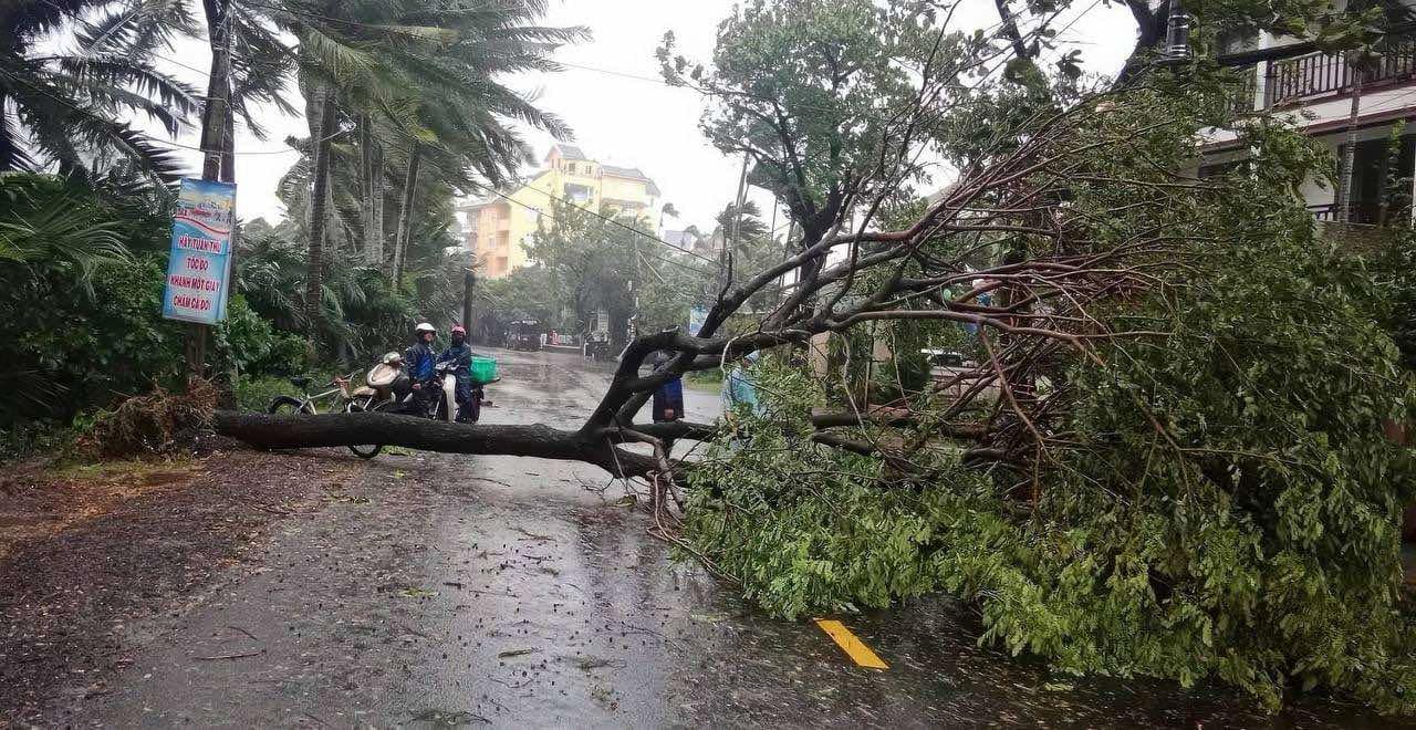 Đã có thương vong vì bão số 6, nhiều vết nứt toác xuất hiện ở một Trung tâm y tế- Ảnh 5.