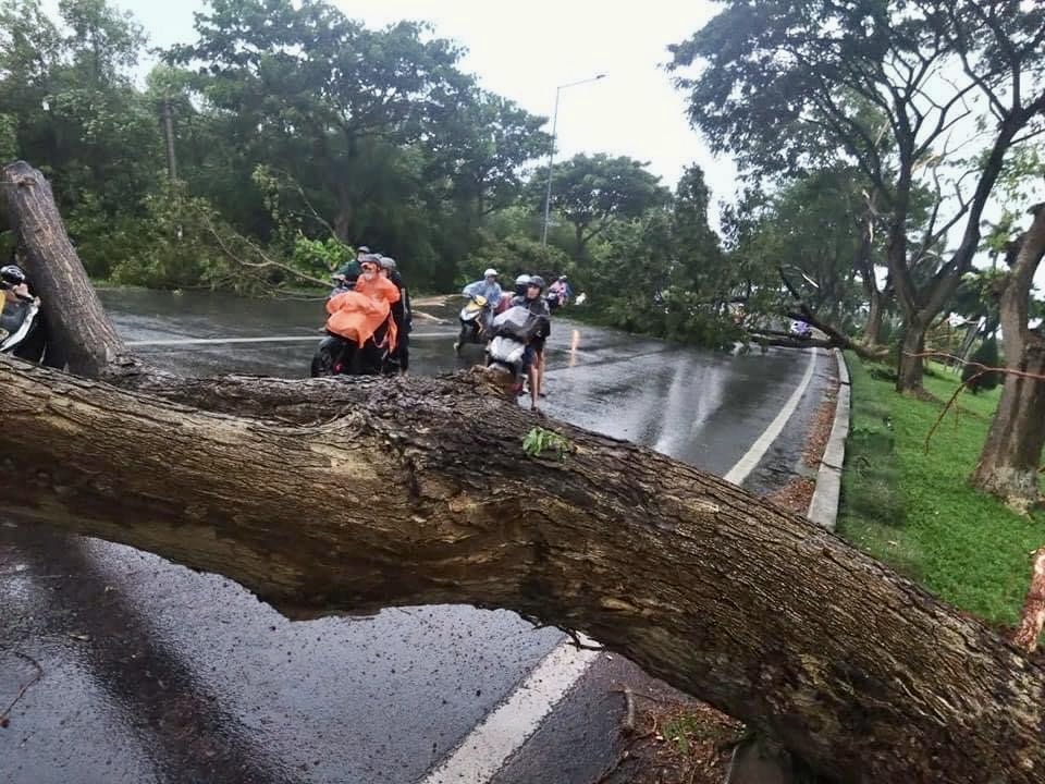 Nhiều cây xanh gãy đổ, kẹt xe nối dài hướng Vũng Tàu đi Bà Rịa- Ảnh 2.