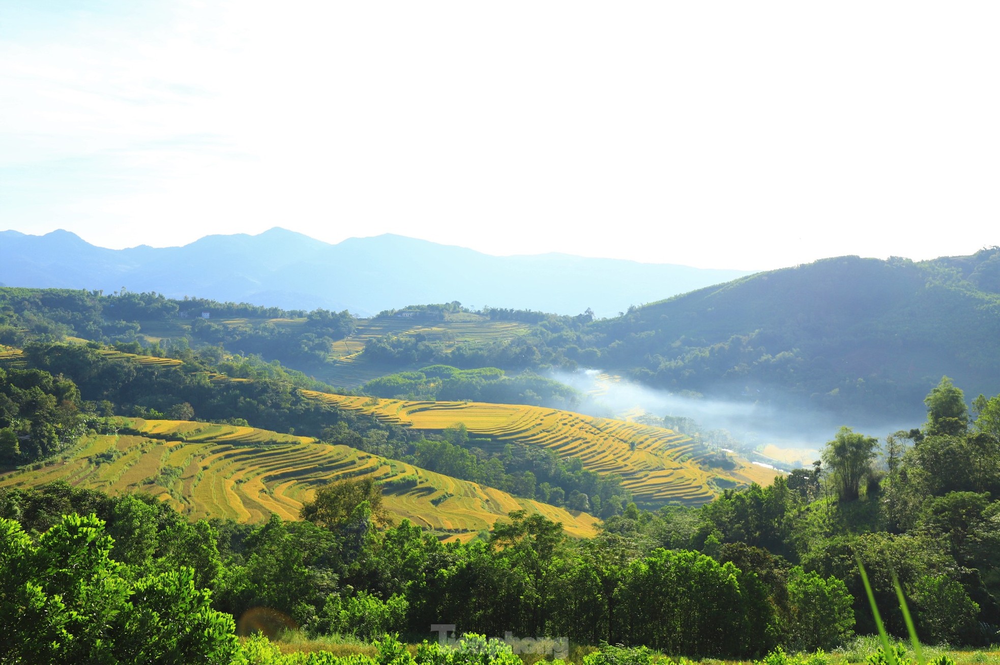 Những thửa ruộng bậc thang vàng óng ở Hòa Bình- Ảnh 9.