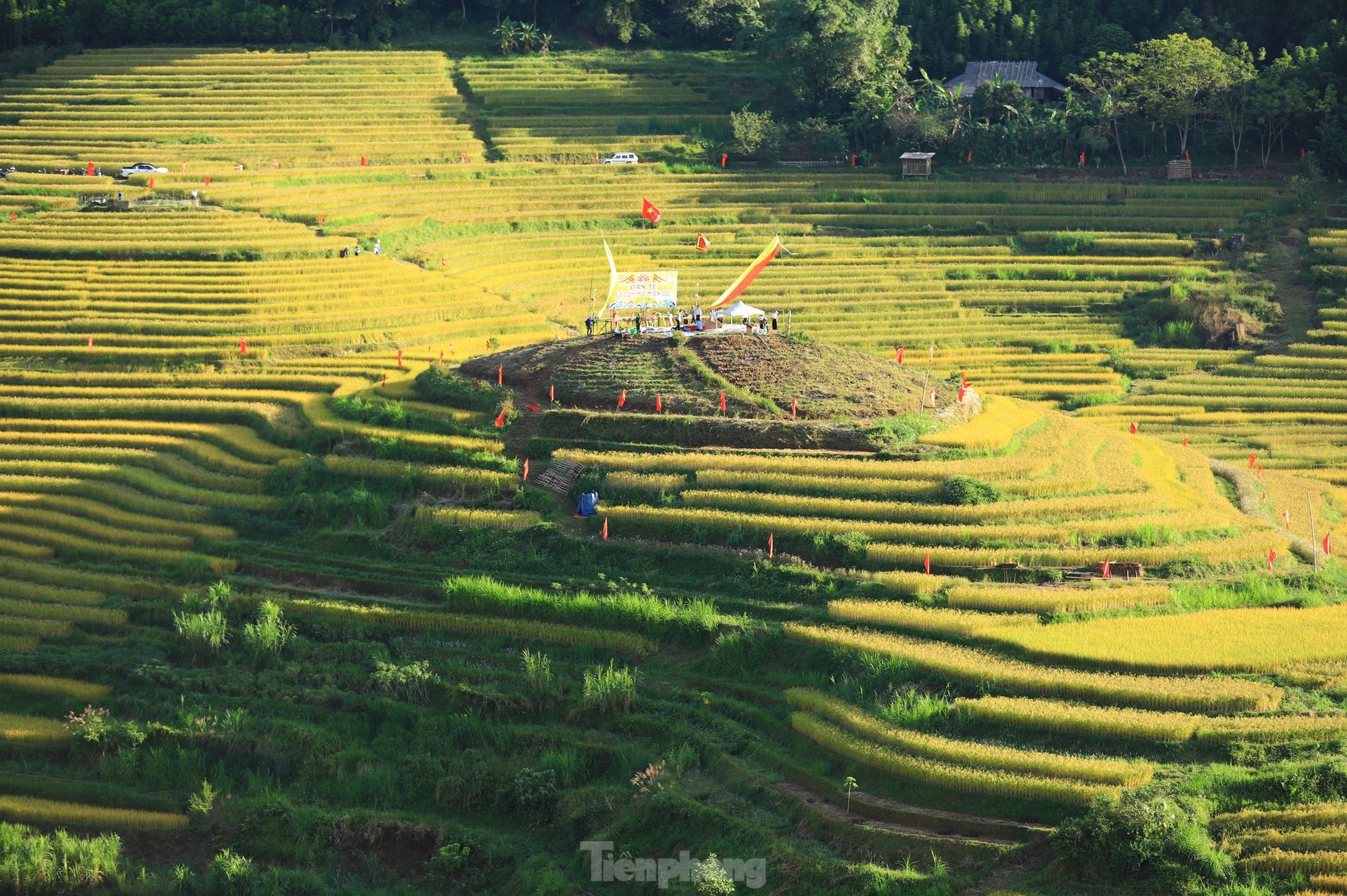 Những thửa ruộng bậc thang vàng óng ở Hòa Bình- Ảnh 13.