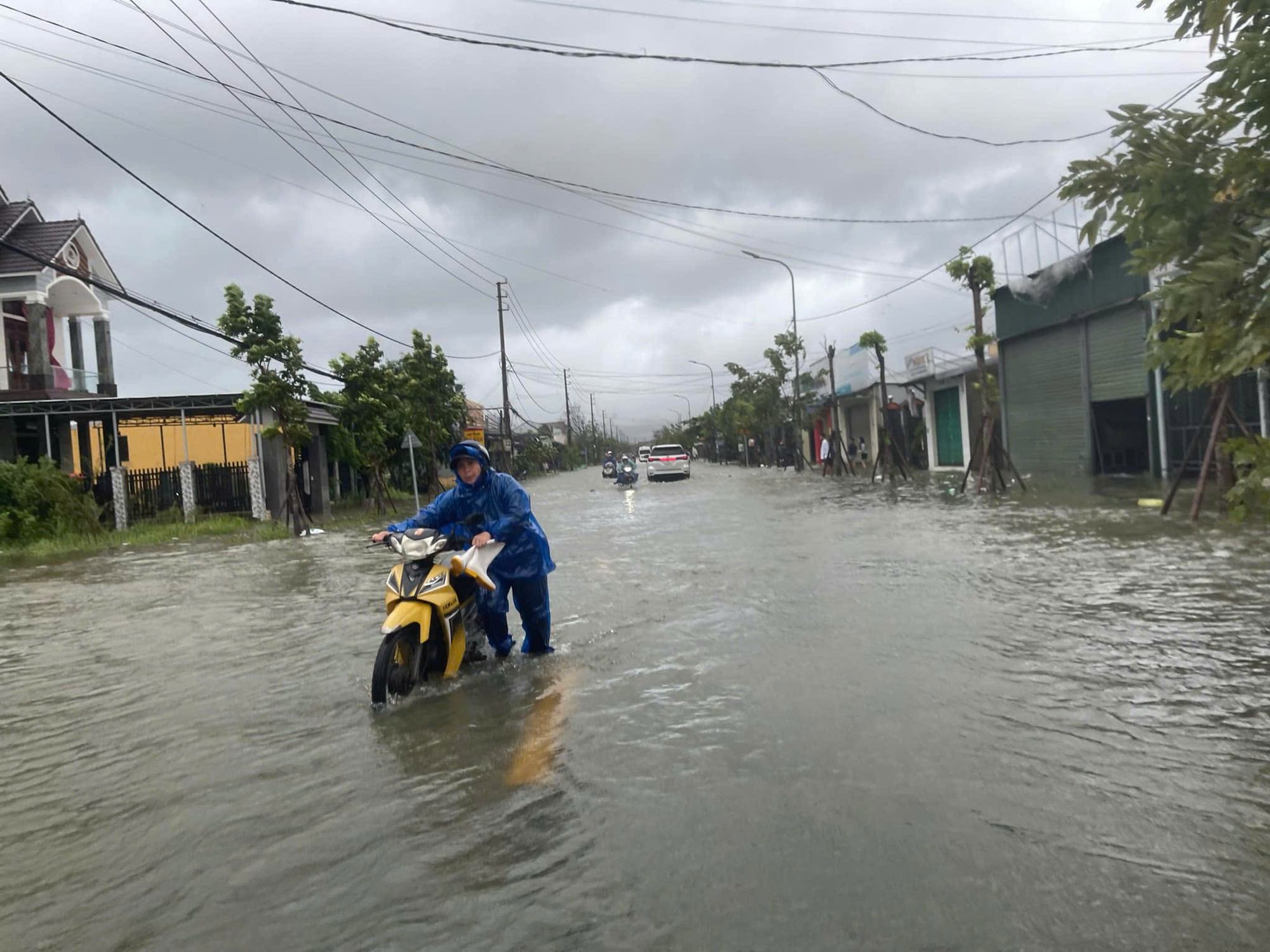 Ngay lúc này: Bão Trà Mi áp sát đất liền gây mưa to gió giật; Cây đổ ngổn ngang, ngập lụt nhiều nơi- Ảnh 11.