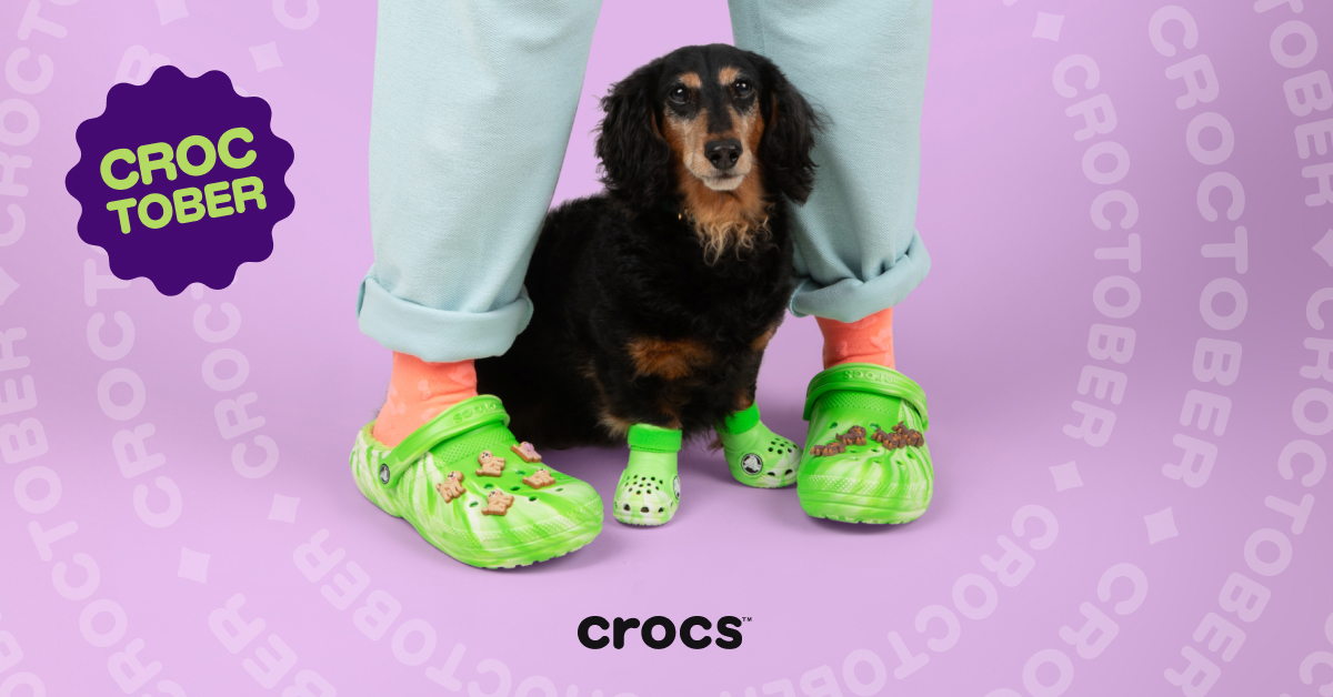 Sinh nhật chất như Crocs: ra luôn phiên bản dành cho thú cưng- Ảnh 2.