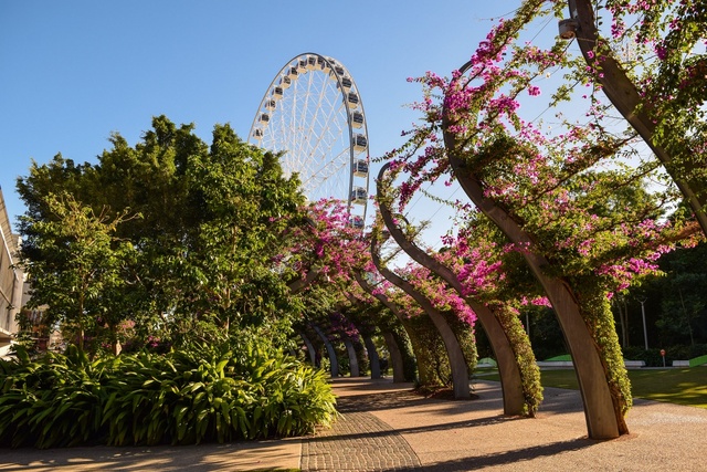 Nét hút hồn của Brisbane nhìn từ 5 công viên ngoài trời nổi tiếng- Ảnh 3.