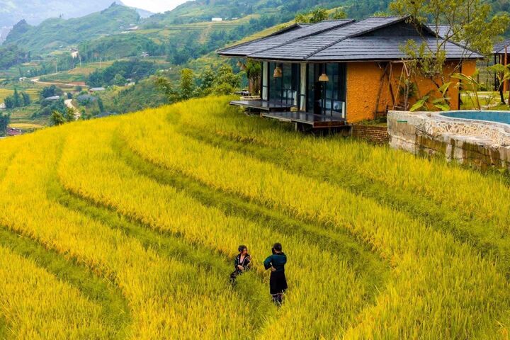 Ghé thăm bản làng Tả Phìn rực sắc vàng giữa núi rừng Tây Bắc mùa lúa chín- Ảnh 4.