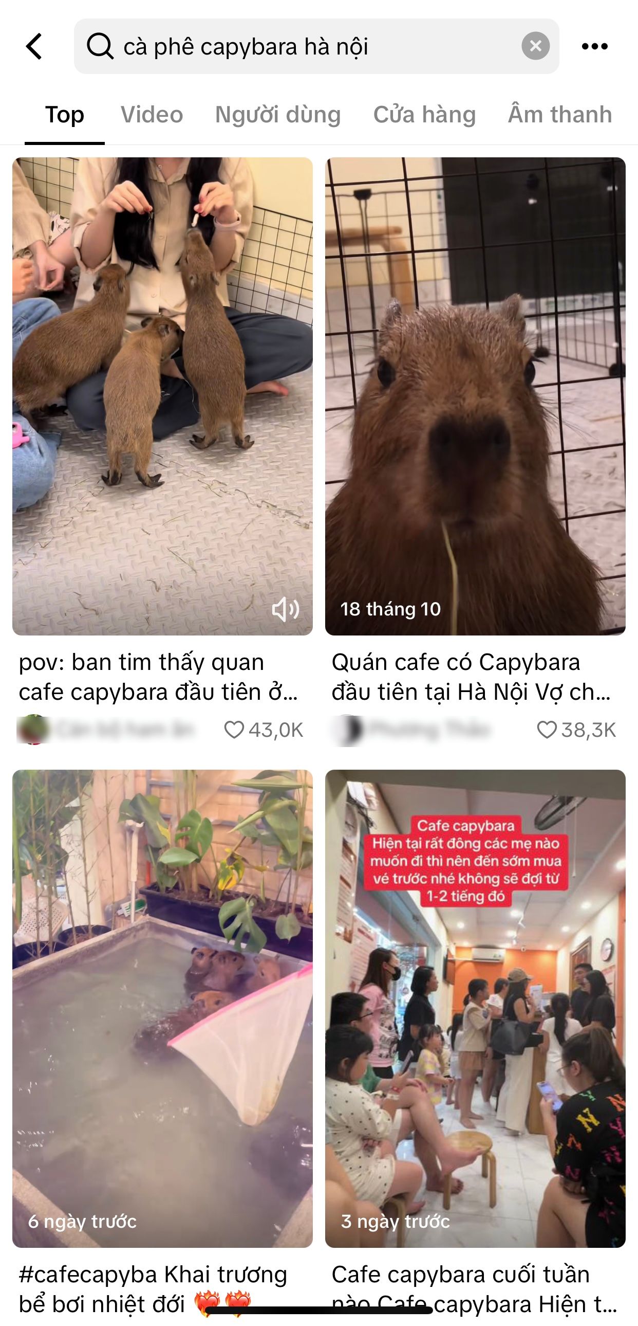 Liệu cà phê capybara có tiếp tục đi vào 