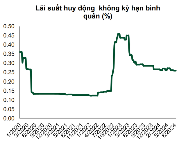 Ngành ngân hàng Việt Nam vừa xác lập một kỷ lục: Điều gì đang diễn ra?- Ảnh 4.