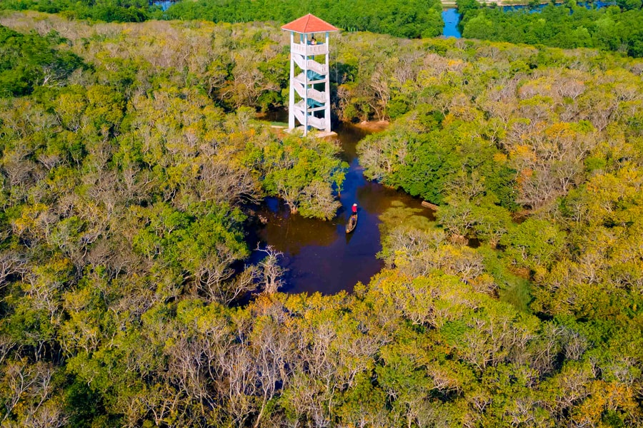 Rừng ở Huế thuộc hệ cực quý hiếm của Đông Nam Á, cách thành phố 15km, du khách đến được gặp "Robinson"- Ảnh 10.