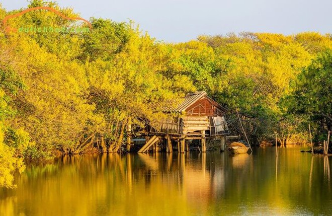 Rừng ở Huế thuộc hệ cực quý hiếm của Đông Nam Á, cách thành phố 15km, du khách đến được gặp "Robinson"- Ảnh 5.