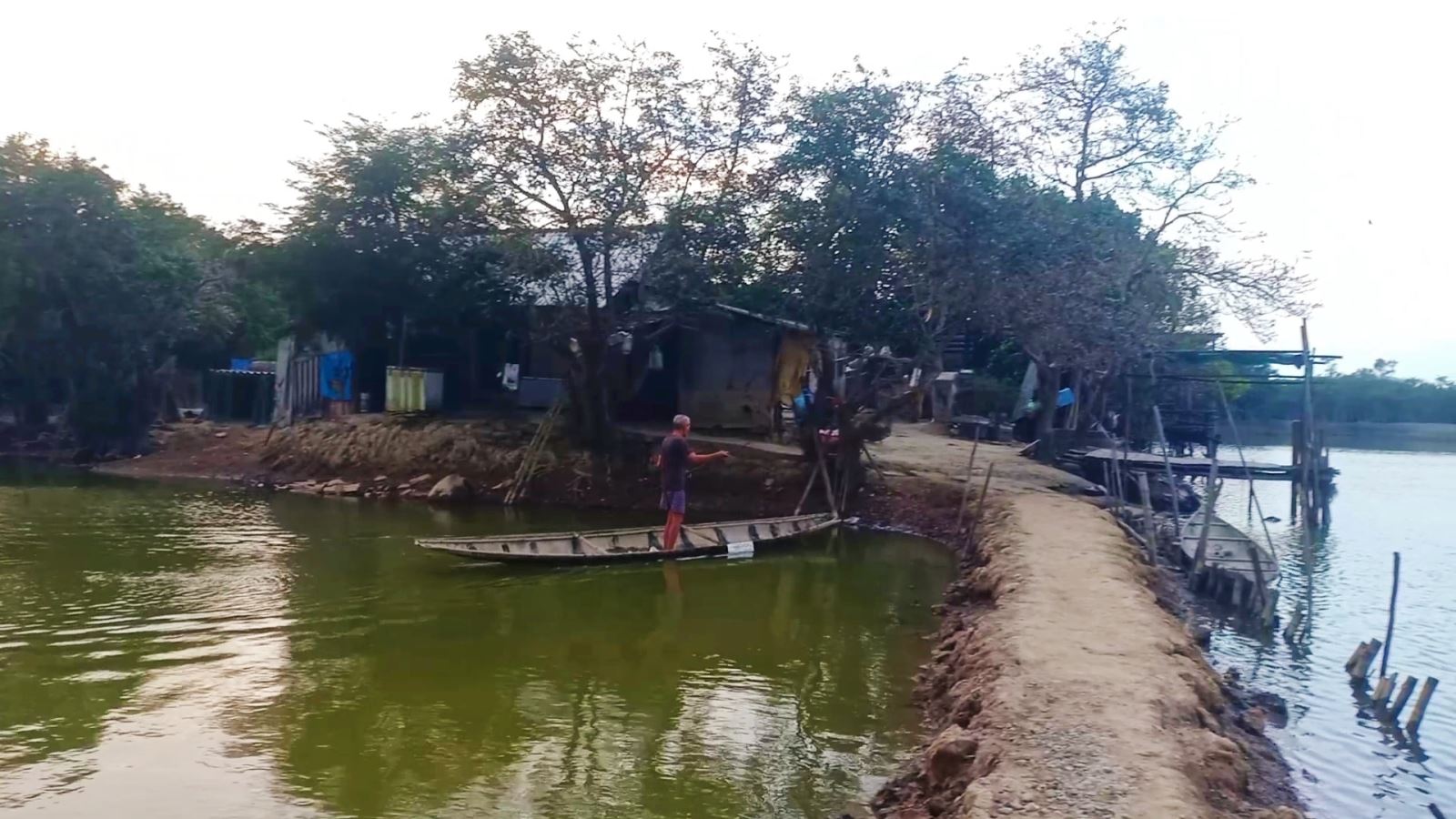 Rừng ở Huế thuộc hệ cực quý hiếm của Đông Nam Á, cách thành phố 15km, du khách đến được gặp "Robinson"- Ảnh 12.