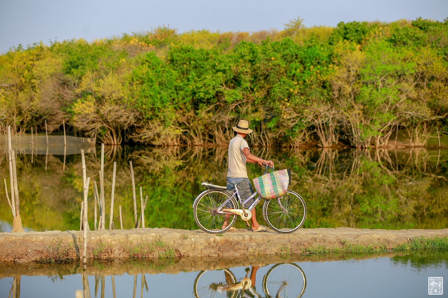 Rừng ở Huế thuộc hệ cực quý hiếm của Đông Nam Á, cách thành phố 15km, du khách đến được gặp "Robinson"- Ảnh 9.