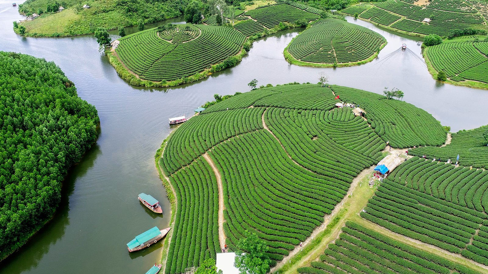 Ngoài biển Cửa Lò, Nghệ An còn có những "ốc đảo xanh" độc đáo: Cảnh được nhận xét không giống nơi nào- Ảnh 1.