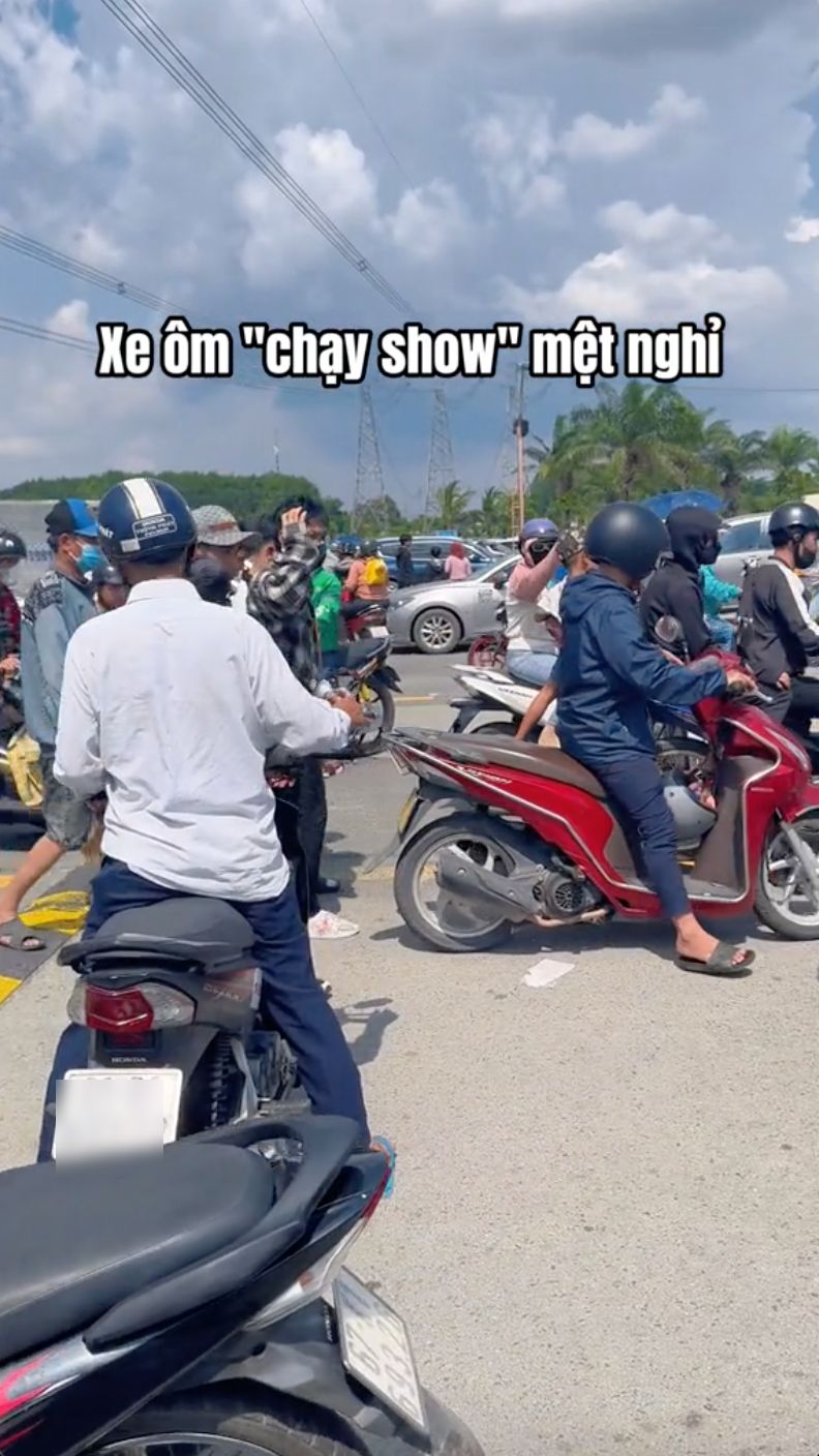 1001 chuyện "độc lạ Đại Nam" trong ngày miễn phí vé: Hết chở em bé đi tìm mẹ đến mắc võng lên cây dừa ngủ- Ảnh 6.