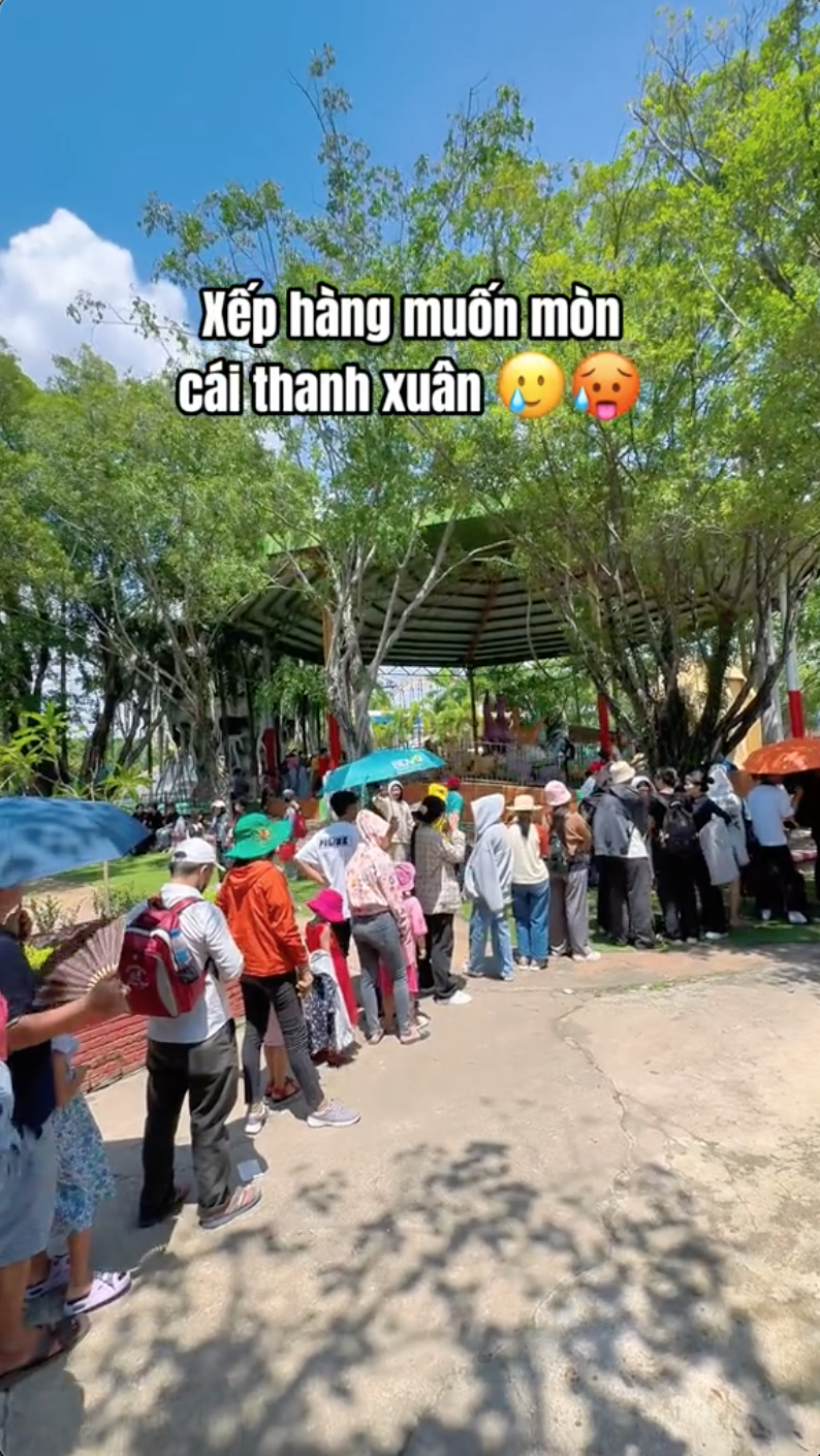 1001 chuyện "độc lạ Đại Nam" trong ngày miễn phí vé: Hết chở em bé đi tìm mẹ đến mắc võng lên cây dừa ngủ- Ảnh 11.