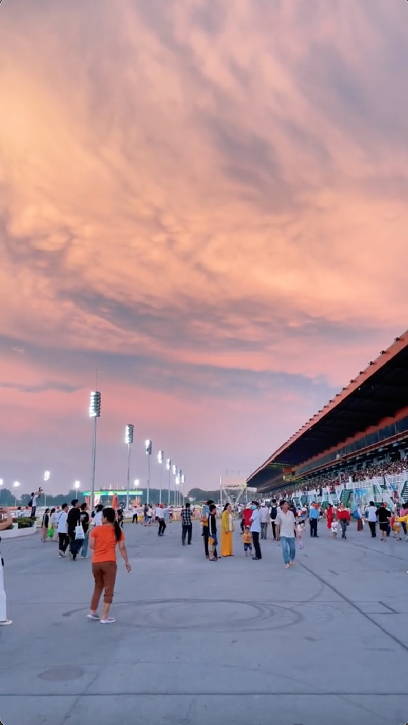 1001 chuyện "độc lạ Đại Nam" trong ngày miễn phí vé: Hết chở em bé đi tìm mẹ đến mắc võng lên cây dừa ngủ- Ảnh 21.