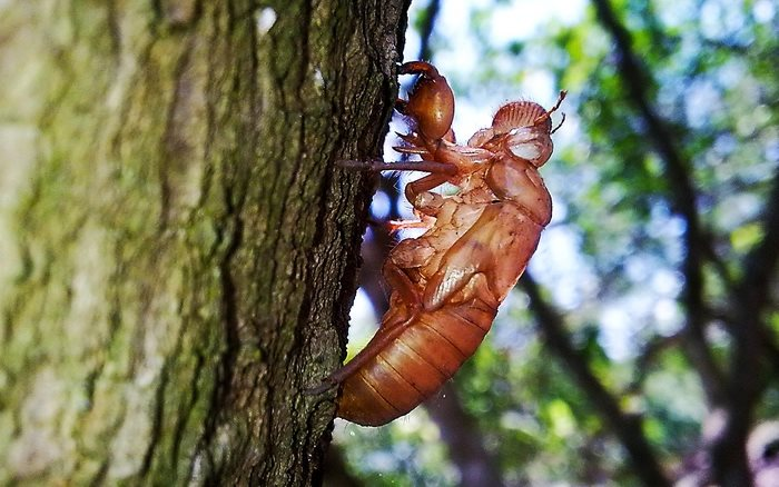 Một huyền thoại trên sàn chứng khoán lột xác ngoạn mục nhờ “chơi” TikTok lên xu hướng, giá cổ phiếu bật tăng phi mã 110% sau 2 tuần- Ảnh 1.