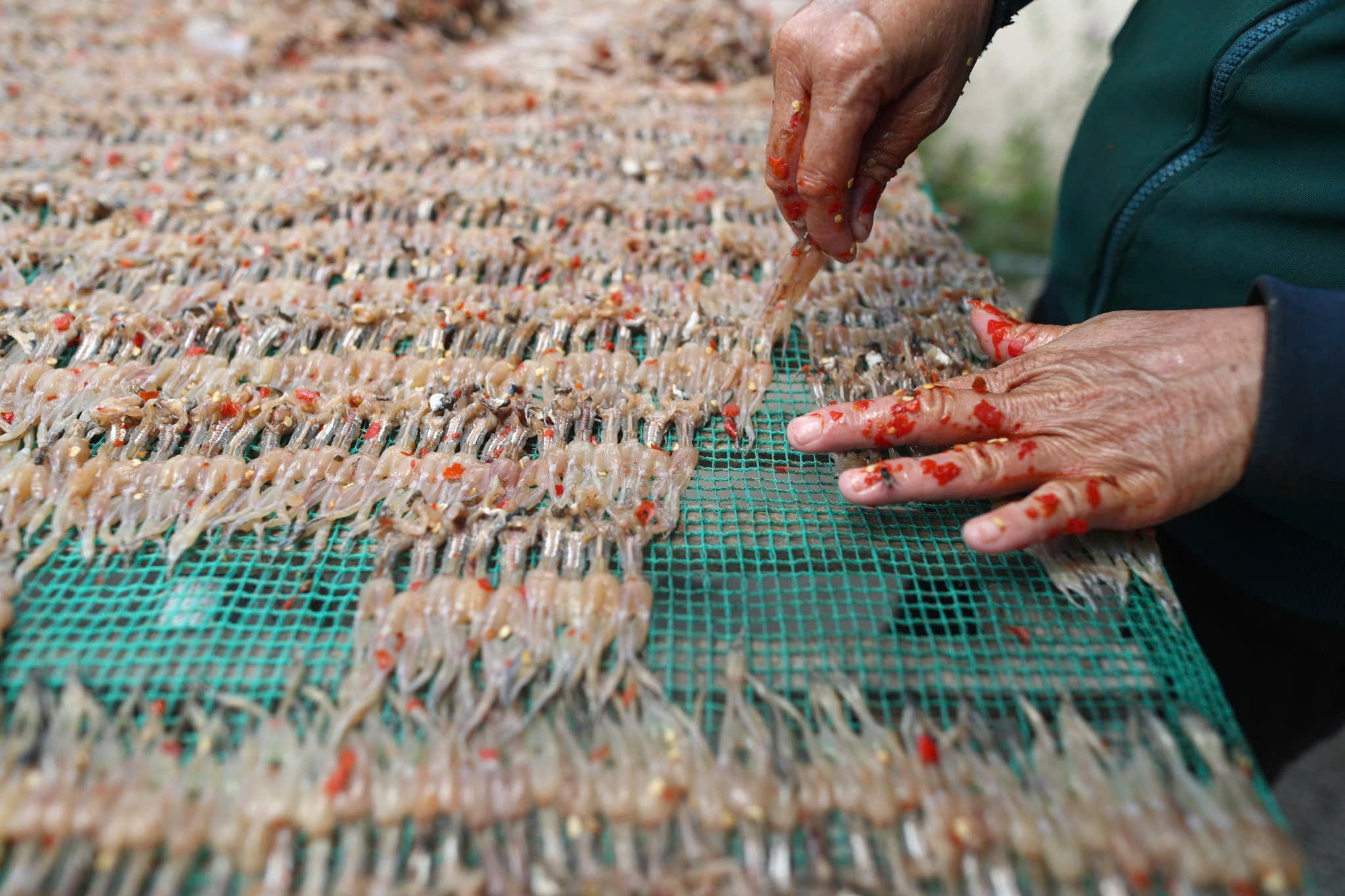 "Vũ nữ chân dài" đặc sản miền Tây vào mùa cao điểm, giá hơn nửa triệu 1kg vẫn hút khách- Ảnh 4.