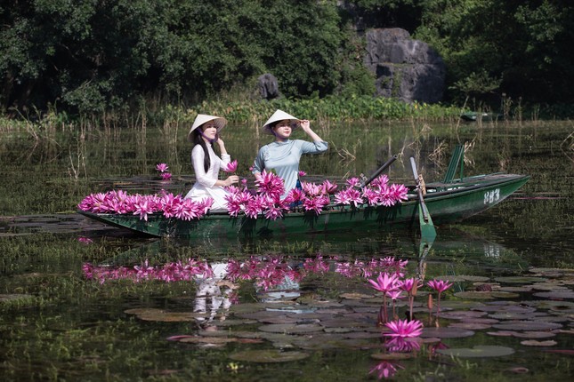 Về Tam Cốc mùa hoa súng, tìm sự bình yên nơi miền di sản- Ảnh 4.