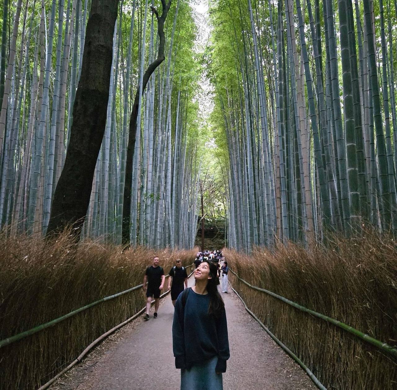 'Đội quân' trai đẹp kéo xe tham quan rừng tre ở Kyoto khiến du khách thẫn thờ: Khung cảnh sao mà mê quá!- Ảnh 7.