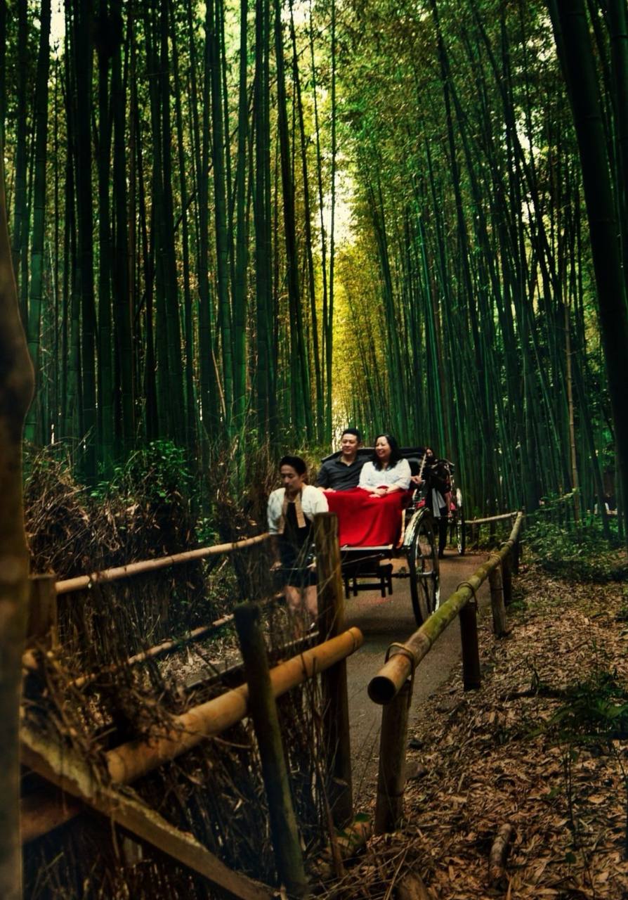 'Đội quân' trai đẹp kéo xe tham quan rừng tre ở Kyoto khiến du khách thẫn thờ: Khung cảnh sao mà mê quá!- Ảnh 5.