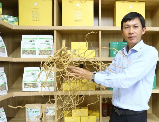 Anh n&ocirc;ng d&acirc;n kiếm 5 tỷ đồng nhờ "bẻ l&aacute;i" trồng thứ c&acirc;y độc lạ qu&yacute; như v&agrave;ng- Ảnh 3.