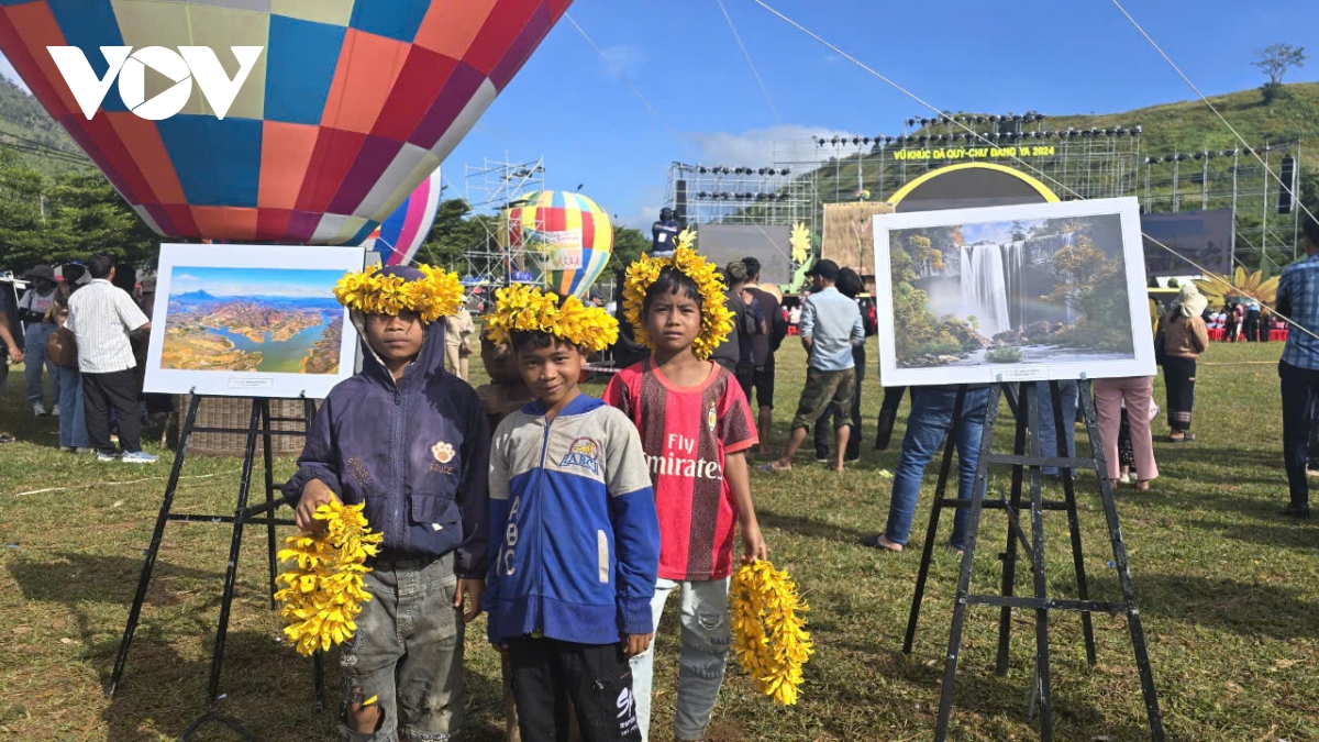 Ngắm sắc v&agrave;ng rực rỡ của d&atilde; quỳ Chư Đang Ya- Ảnh 8.