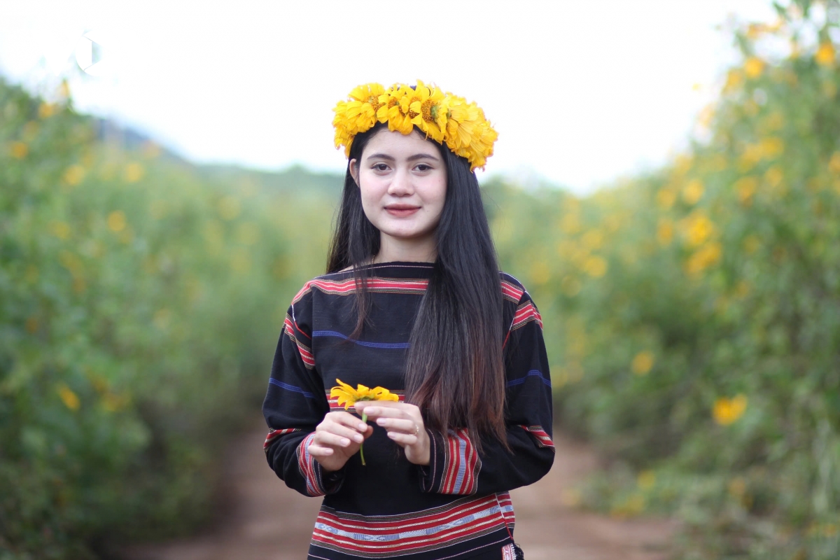 Ngắm sắc v&agrave;ng rực rỡ của d&atilde; quỳ Chư Đang Ya- Ảnh 4.