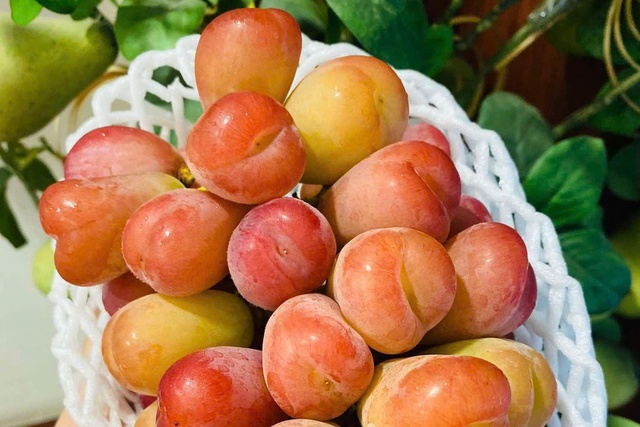 Quả "qu&yacute; tộc" tr&agrave;n ngập chợ Việt, gi&aacute; b&aacute;n mới l&agrave; điều g&acirc;y bất ngờ, nghe xong "đứng h&igrave;nh mất 5 gi&acirc;y"- Ảnh 2.