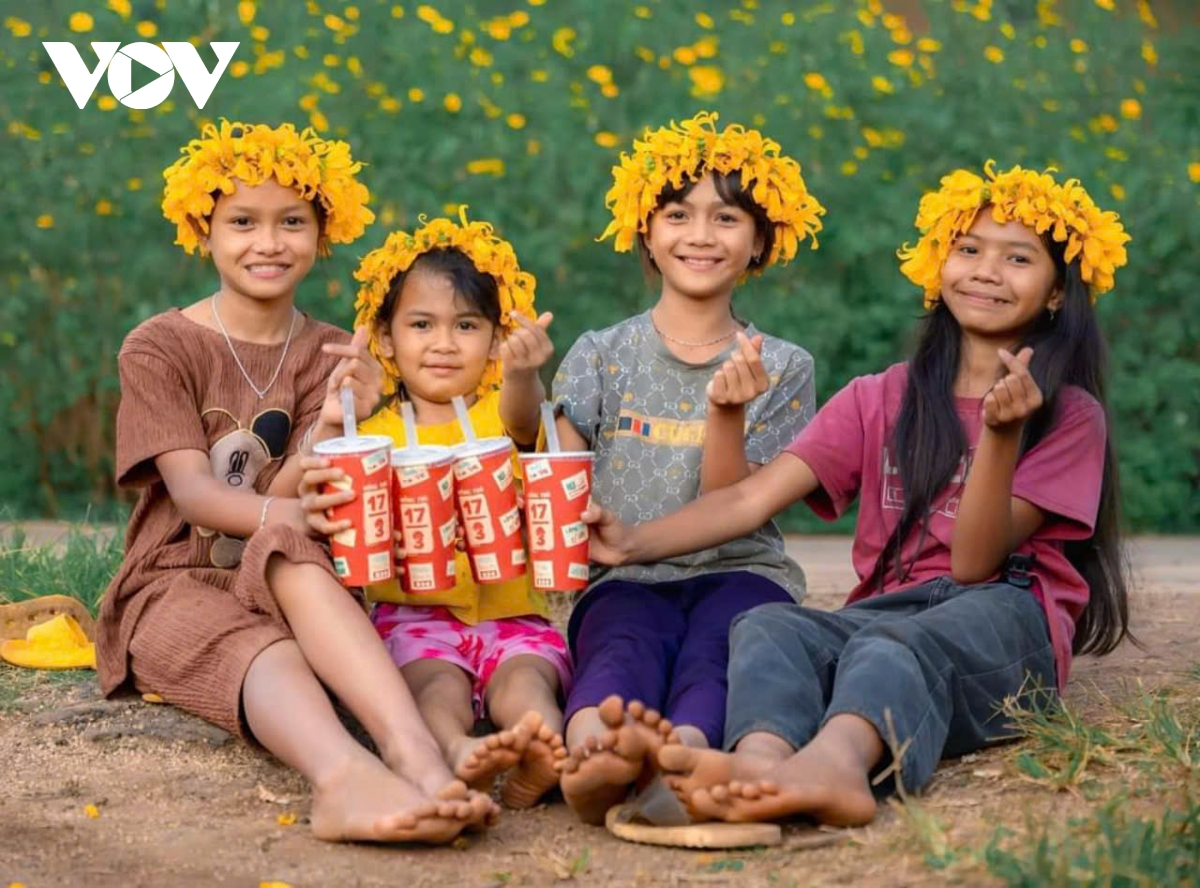 Ngắm sắc v&agrave;ng rực rỡ của d&atilde; quỳ Chư Đang Ya- Ảnh 7.