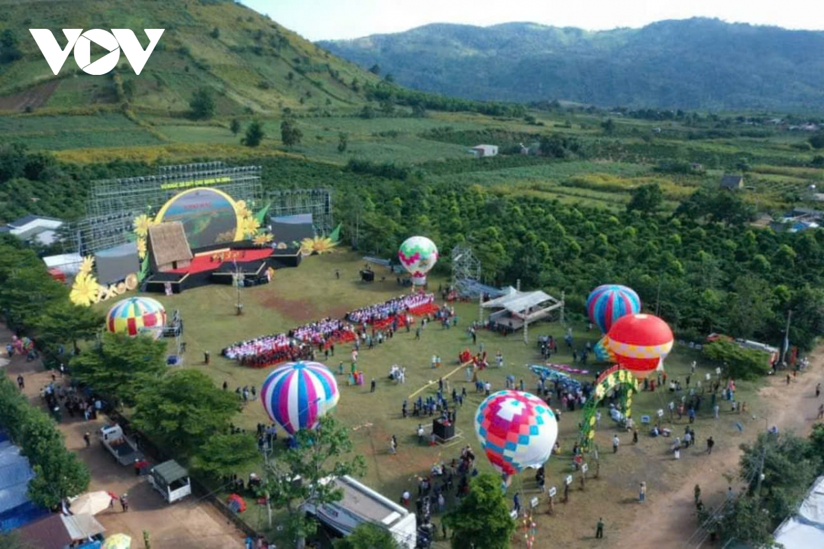 Ngắm sắc v&agrave;ng rực rỡ của d&atilde; quỳ Chư Đang Ya- Ảnh 9.