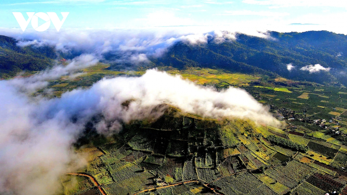 Ngắm sắc v&agrave;ng rực rỡ của d&atilde; quỳ Chư Đang Ya- Ảnh 11.